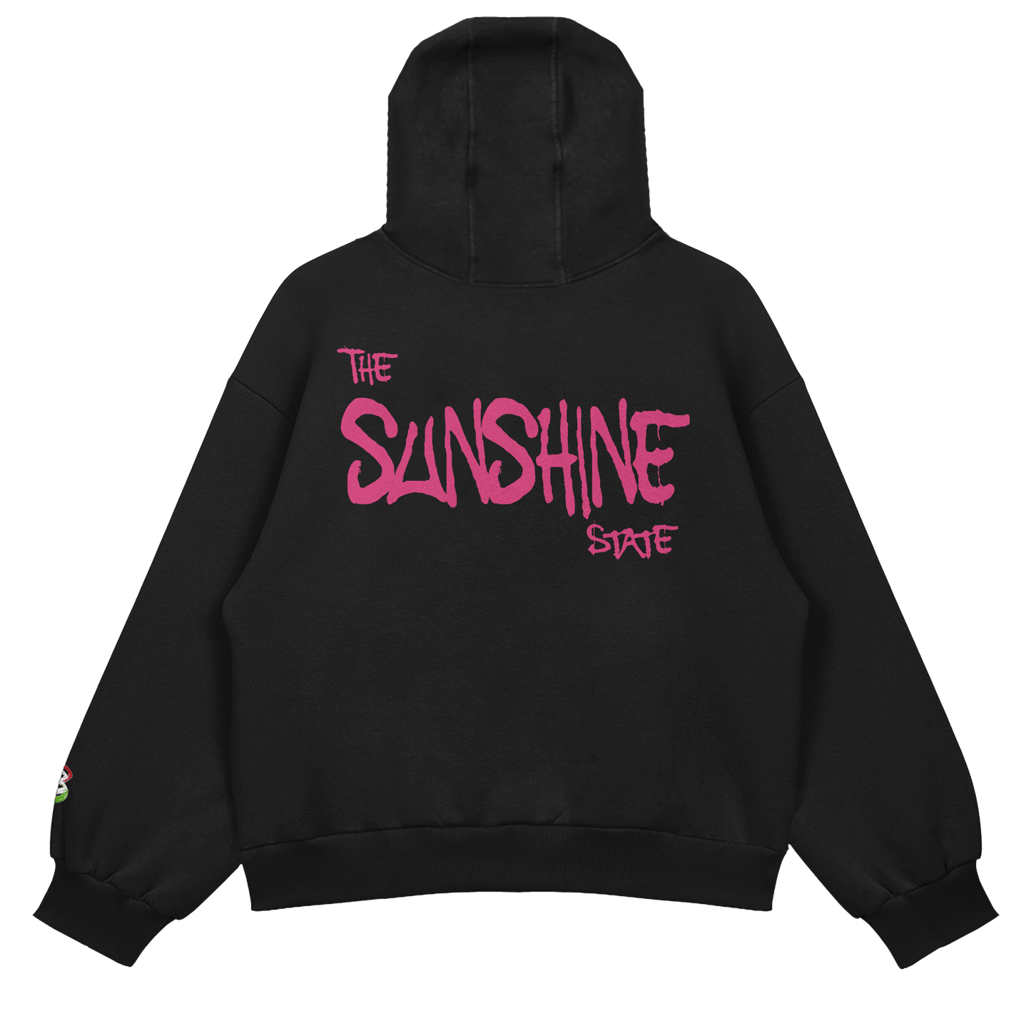 Prodigy Of Florida Hoody