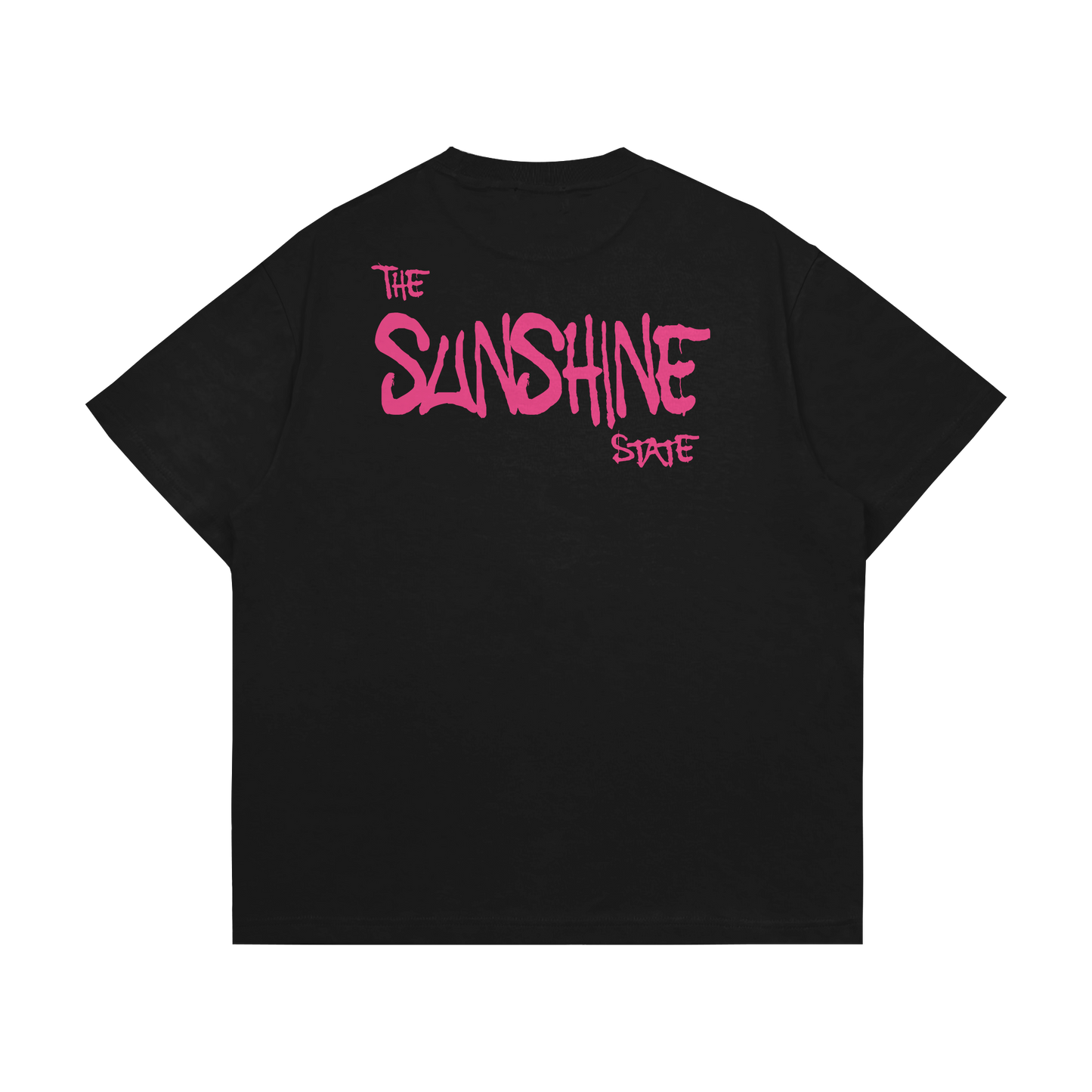 Prodigy Of Florida Tee