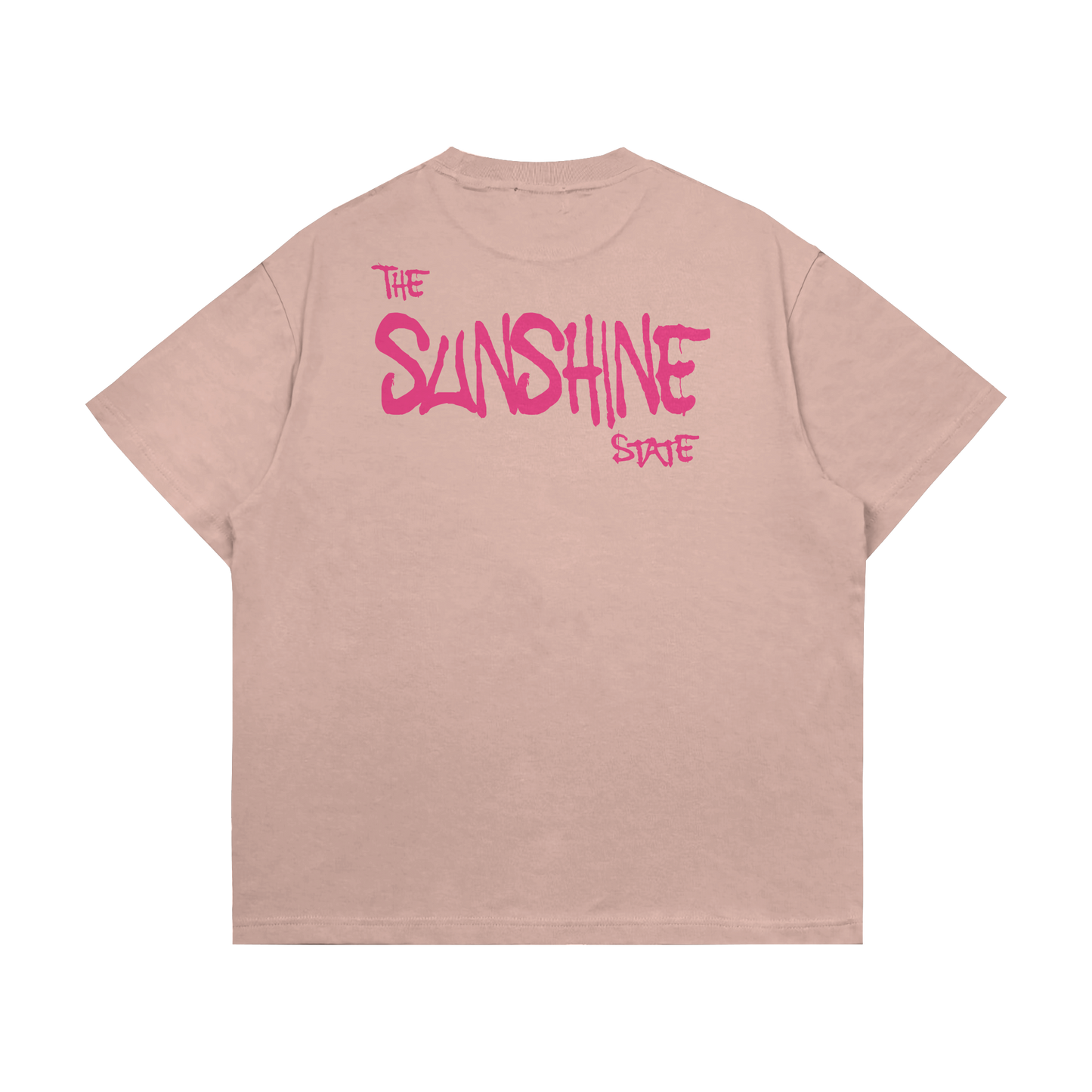 Prodigy Of Florida Tee