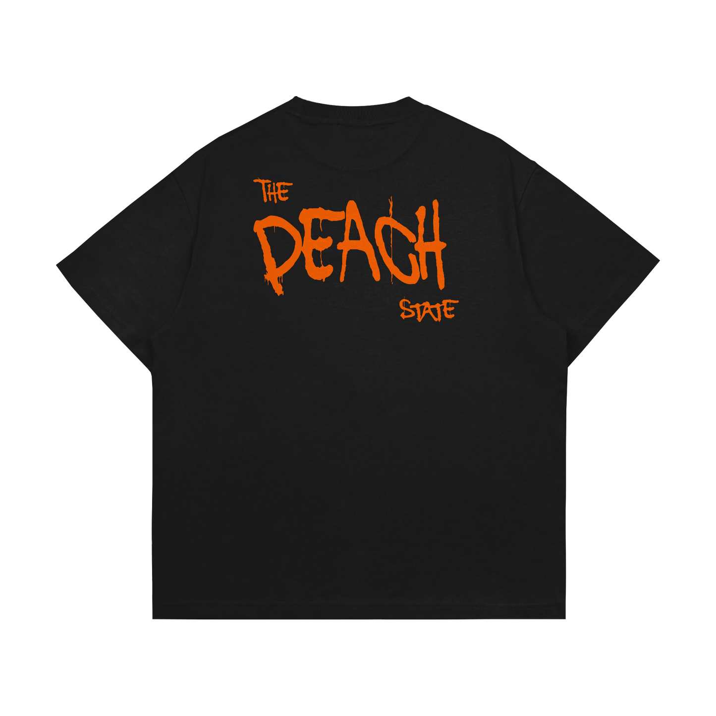 Prodigy Of Georgia Tee