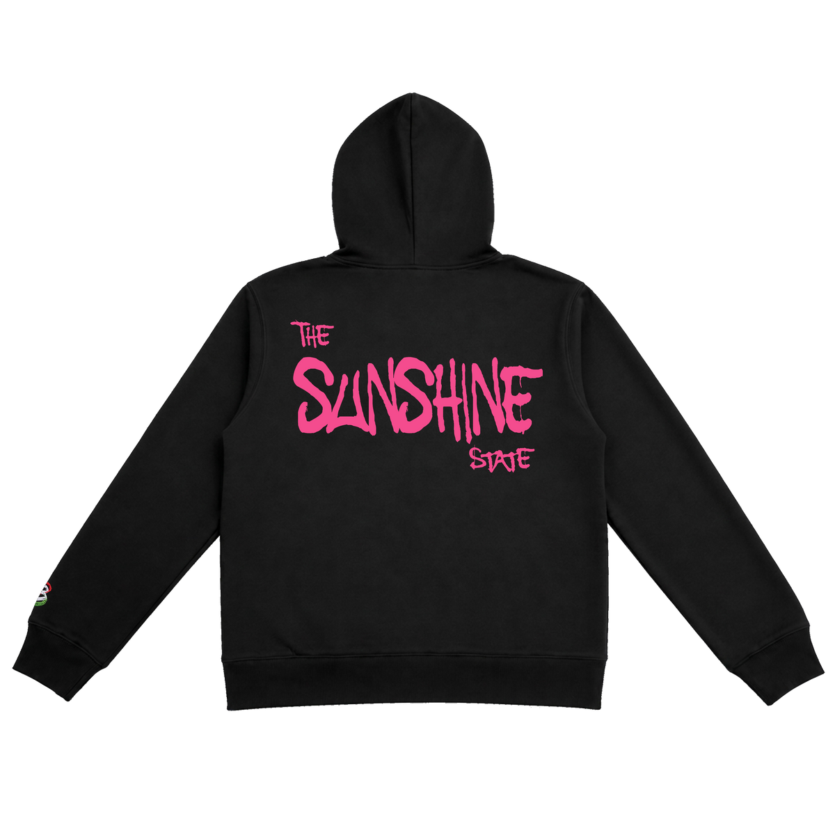 Prodigy Of Florida Hoody