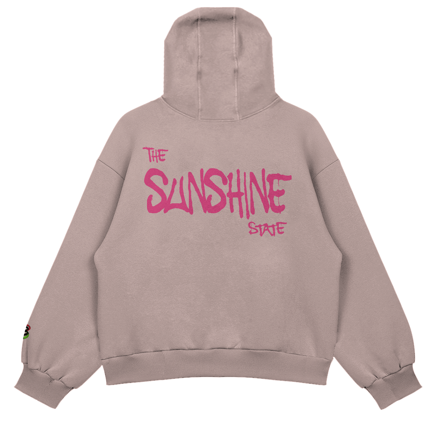 Prodigy Of Florida Hoody