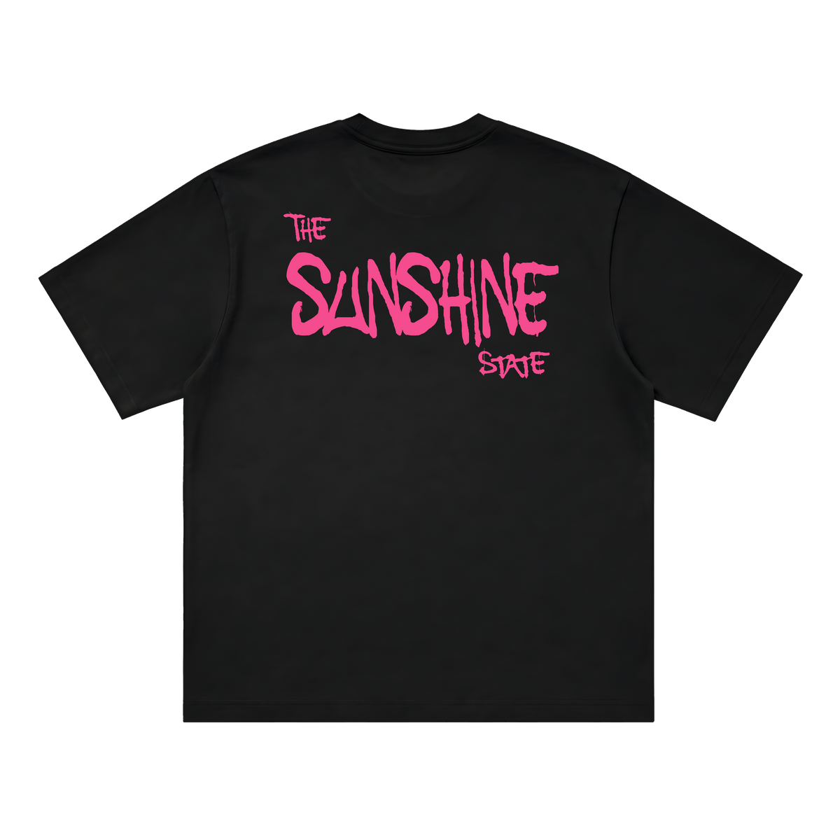 Prodigy Of Florida Tee