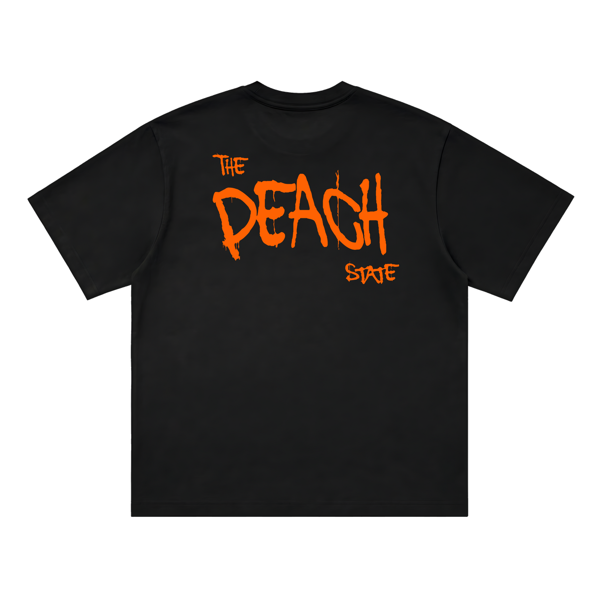 Prodigy Of Georgia Tee